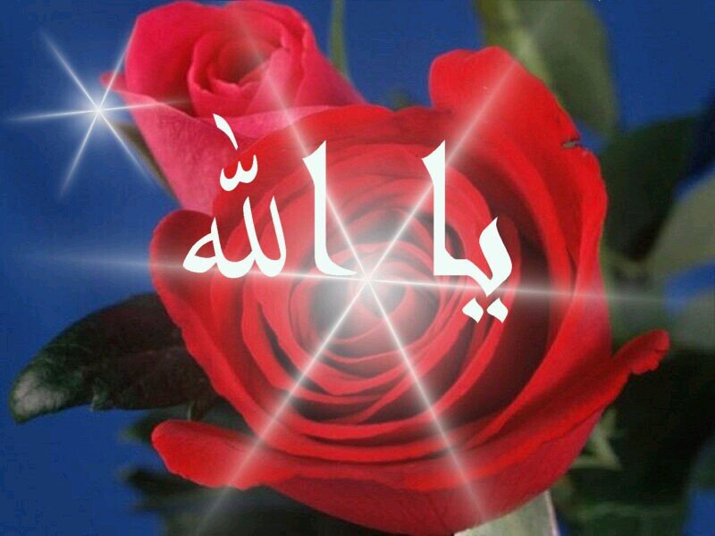 روح الانسان مثل الزهور ... كلما ذكر الله أزهر وانشرح صدره ... وكلما غفل عن ذكر الله ذبل وأنقبض صدره