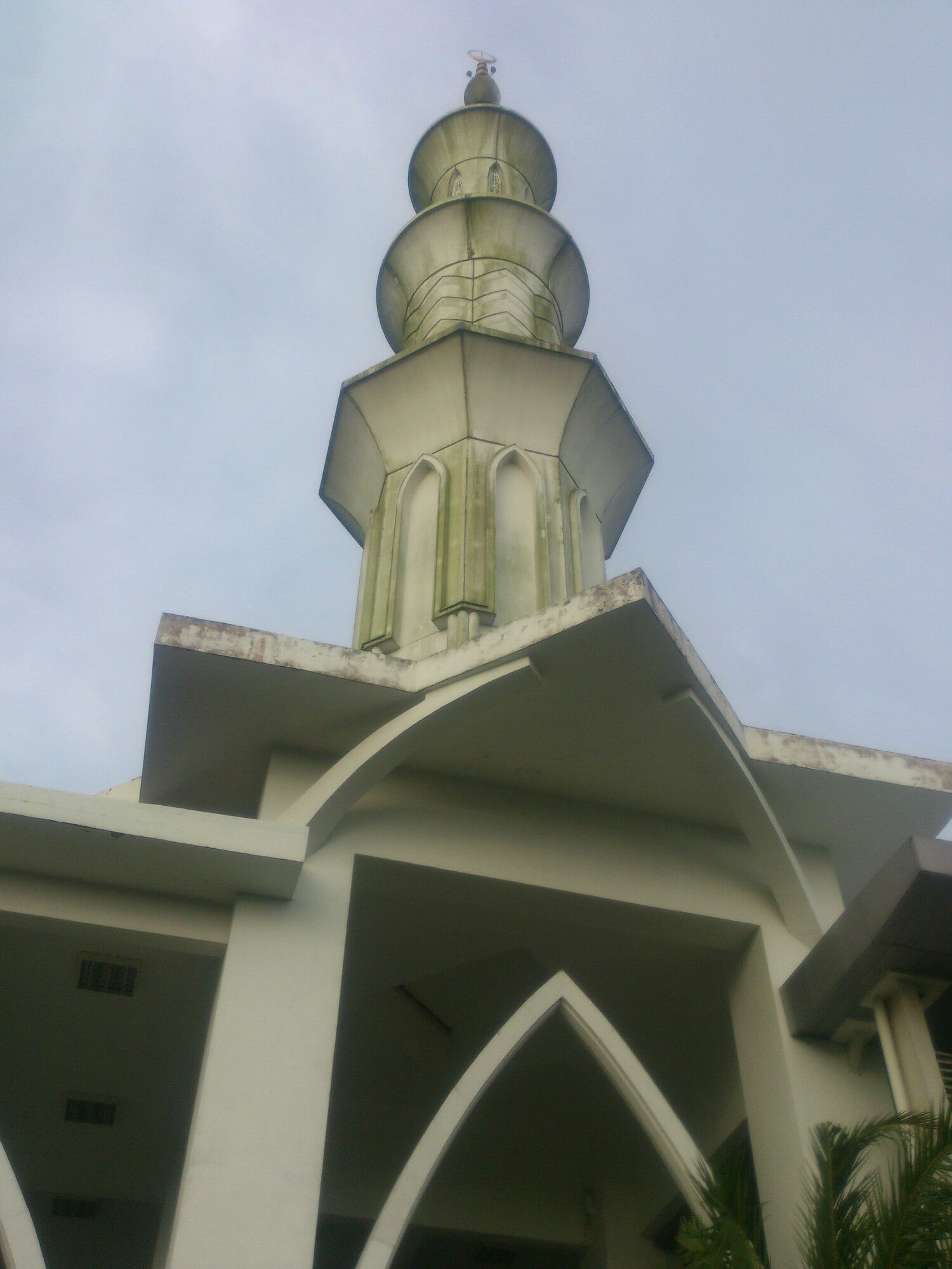 Macai_Sejati's profile picture. 