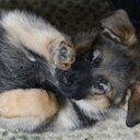 Ray Meyers - @MondisCrow - Twitter