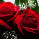 marisol rosas sierra - @marisolrosas240 - Twitter