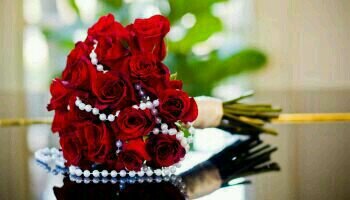 ﺃﺳﺘﻮﺩﻉُ ﺍﻟﻠﮧ ﺍﻟﺬﻱ ﻟﺎ ﺗﻀﻴﻊ ﻭﺩﺍﺋﻌﻪ :
ﺩﻳﻨﻲ ﻭﻧﻔﺴﻲ ﻭﺃﻣﺎﻧﺘﻲ ﻭﺧﻮﺁﺗﻴﻢ ﻋﻤﻠﻲ 
ﻭﺑﻴﺘﻲ ﻭﺃﻫﻠﻲ ﻭﺃﺣﺒﺘﻲ ﻭﻣﺎﻟﻲ 
ﻭﺟﻤﻴﻊ ﻡَ ﺃﻧﻌﻢ ﺍﻟﻠﮧ ﺑﮧِ ﻋﻠﻲّ
 ....الخاص ممنوع
