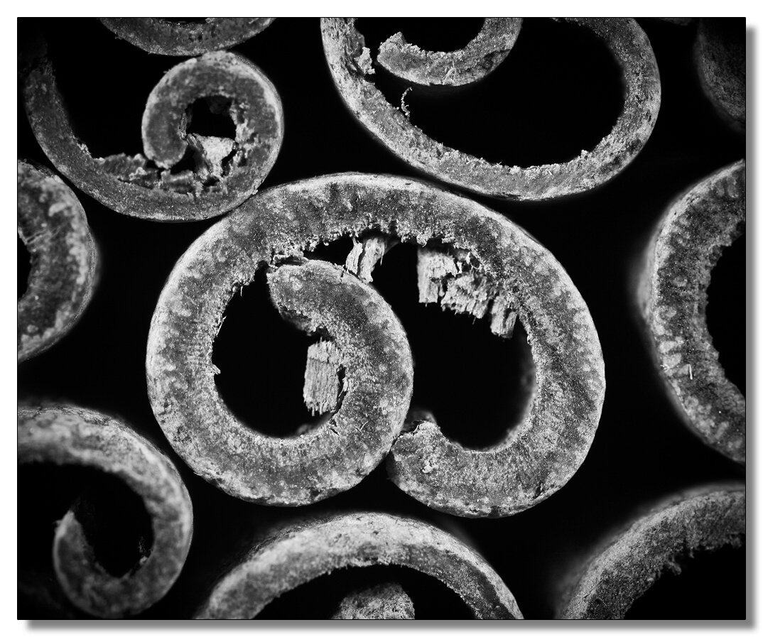 thezimt's profile picture. Film Festivals Hub