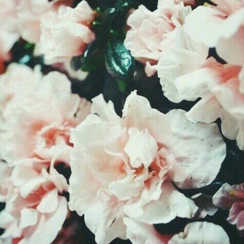 ‏‏‏استغفر الله