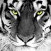 Stacy Morrison (@mrsmorrisonbhs) Twitter profile photo Stacy Morrison (@mrsmorrisonbhs) Twitter profile photo