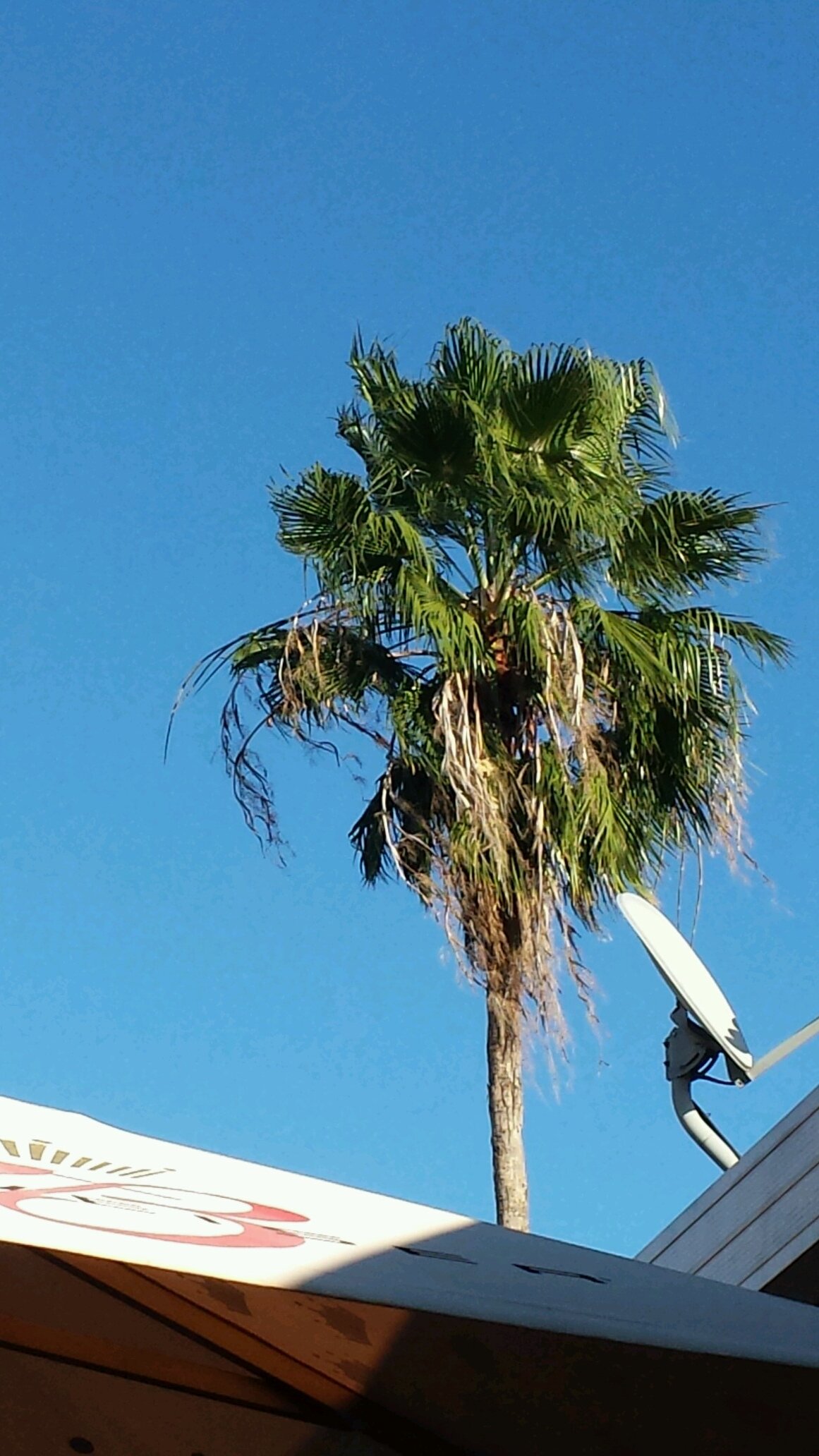 cuban2hot's profile picture. 