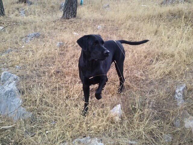 JoseNV3's profile picture. La igualdad en la riqueza consistirá en que ningun ciudadano sea tan opulento que pueda comprar a otro,ni ninguno tan pobre q se tenga q vender