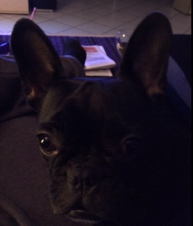 Jometi's profile picture. 