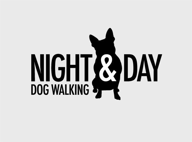 Are you having trouble finding the time to walk your dog? Well you’ve come to the right place because Night & Day has the perfect solution for you!