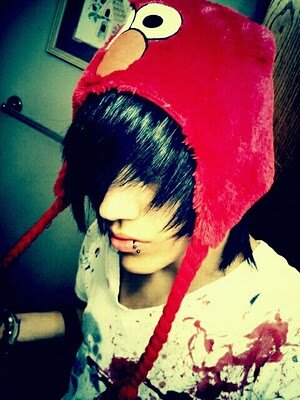 My name is andy.. I'm 16 gay..  Single! Follow me c: