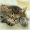 (Не)обычный, нужное подчеркнуть.