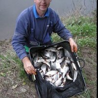 PAUL BICK (@paulbick1) 's Twitter Profile