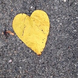 CaraDiPierro's profile picture. 