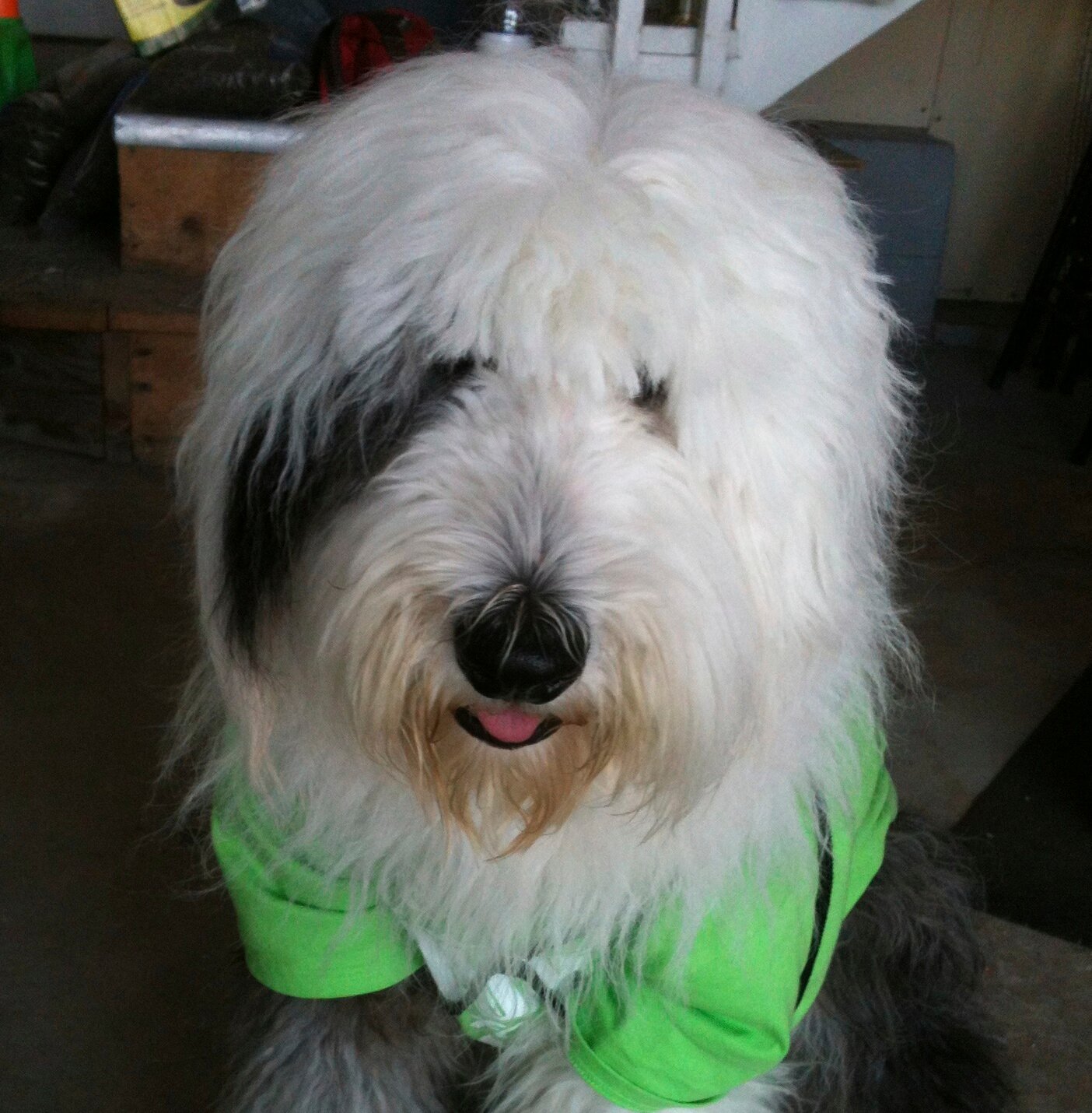 KerriWilson19's profile picture. 