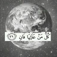 صدقه لـ @NFQ_ باسوورد الحساب 741258