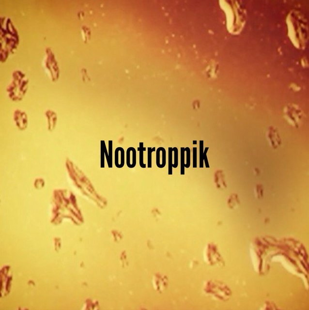 Nootroppik's profile picture. 