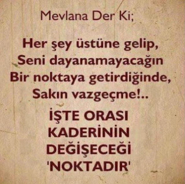 neslihangndz44's profile picture. 