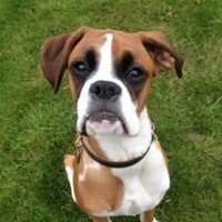 Simon Riley (@oscilatewildly1) 's Twitter Profile