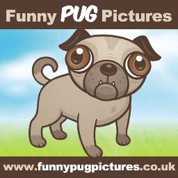 An online PUG community with lots of pictures, animations and videos. We all have one thing in common......we LOVE pugs!