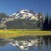 Leilani Mannix #LandscapePhotography 📸 (@leilanimannix) Twitter profile photo