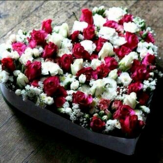تابعوني حساب الجديد @mohnad909