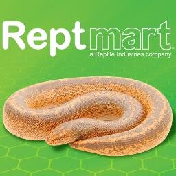 Your one stop Reptile Supplier selling quality reptiles and supplies shipped right to your door, a Reptile Industries Company