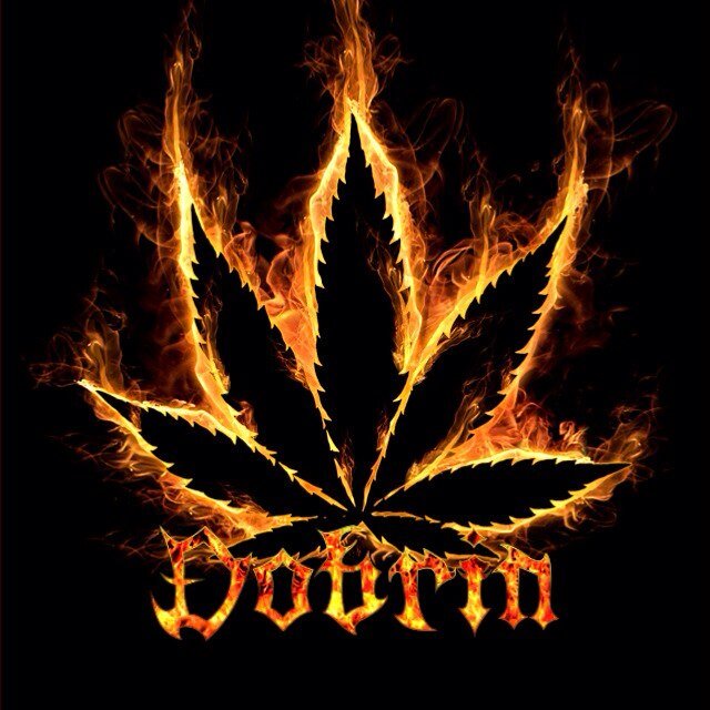 dobrin12NL's profile picture. dobrin..13..lauwers college BuitenPost