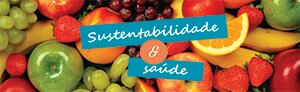 alimenta certo,saudável e regras comida.