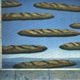 Eddy_Mess's profile picture. ? +I'm Having a Ball MAKE AN OCTOPUS'S GARDEN! Le Soins Tropicaux, Resort Wellness Facility y gist  Presentation: messiname8@yahoo.com🐬
    tel. 1 609 885 9641