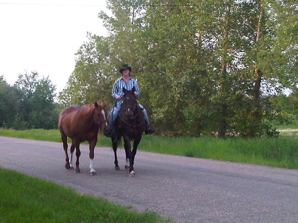 public servant working for the government of Alberta.
