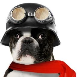 The Dog, The Myth, The Legend ...I am MO mascot of @MOGLtweets In the Android market and the App store!