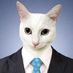 MarcusBytow's profile picture. 