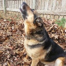 Willis79Willis's profile picture. 