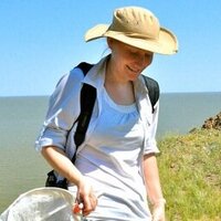 Sarah Kocher (@sd_kocher) 's Twitter Profile