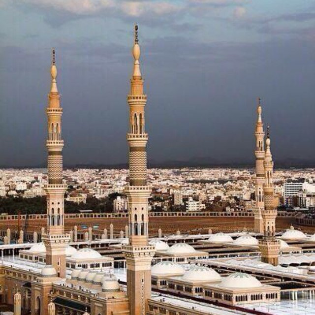 يَا أَيُّهَا النَّاسُ إِنَّا خَلَقْنَاكُمْ مِنْ ذَكَرٍ وَأُنْثَىٰ وَجَعَلْنَاكُمْ شُعُوبًا وَقَبَائِلَ لِتَعَارَفُوا ۚ