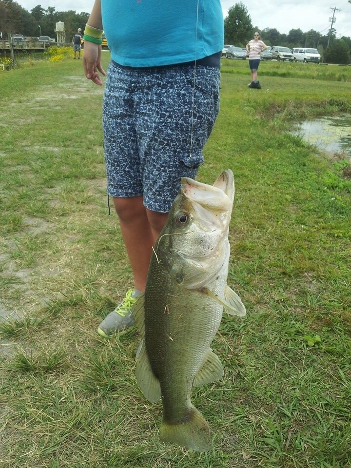 IsaMarieTurknet's profile picture. 