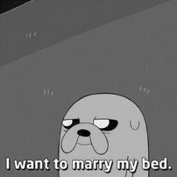 JaaviHanseen's profile picture. #Believe