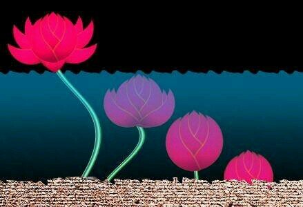 pookanyarat's profile picture. Public Health admiดnistrator(M.S, Ph.D.)