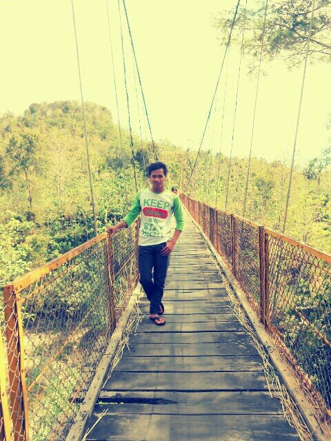 trywid2's profile picture. 