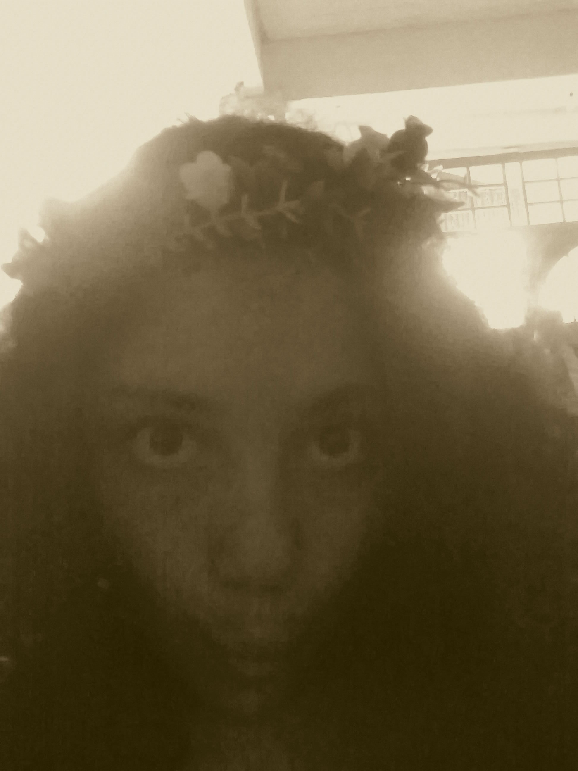 VioletaCATS's profile picture. estudio danza , me inscribiré a un cedart  , amo la danza y el teatro , adoro a los gatos ,soy súper fan de trhs,cats ,el fantasma de la opera .lol