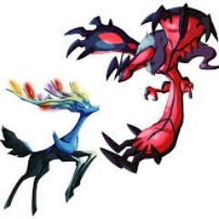 XYPokemonComp's profile picture. Pokemon X&Y Competitive Community. Tweet at me with your 3DS friend codes, then I retweet then people add you and you can WIFI Battle!