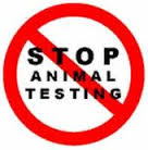 endanimalltest's profile picture. Stop animal testing.