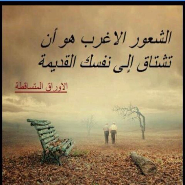 مججرد مغرد ، اسطر احرفاا من نسج خيآلي ۈاقتبس مآ يروق ليَ ، لڳ حرية المتآبعهہ ۈليَ حرية ﺎلتغريد ♥~
