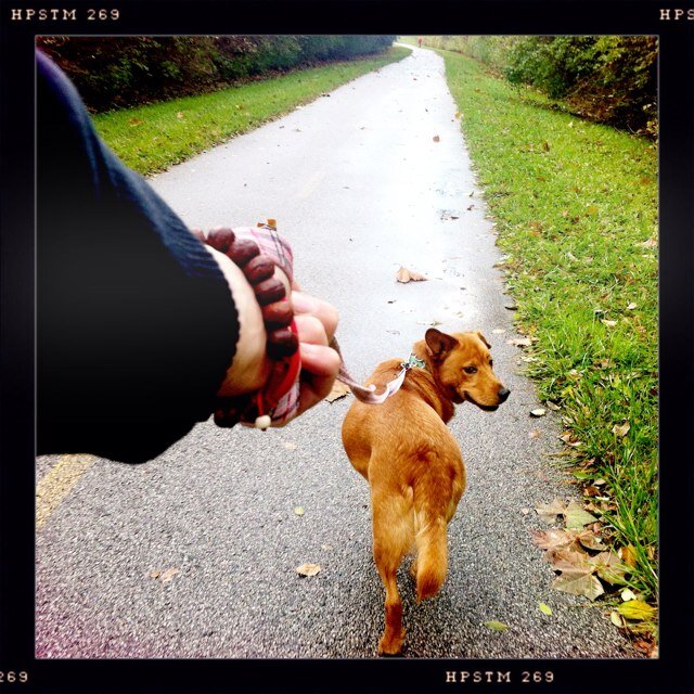 thezenofrock's profile picture. my synapse gaps cause synapse gasps.