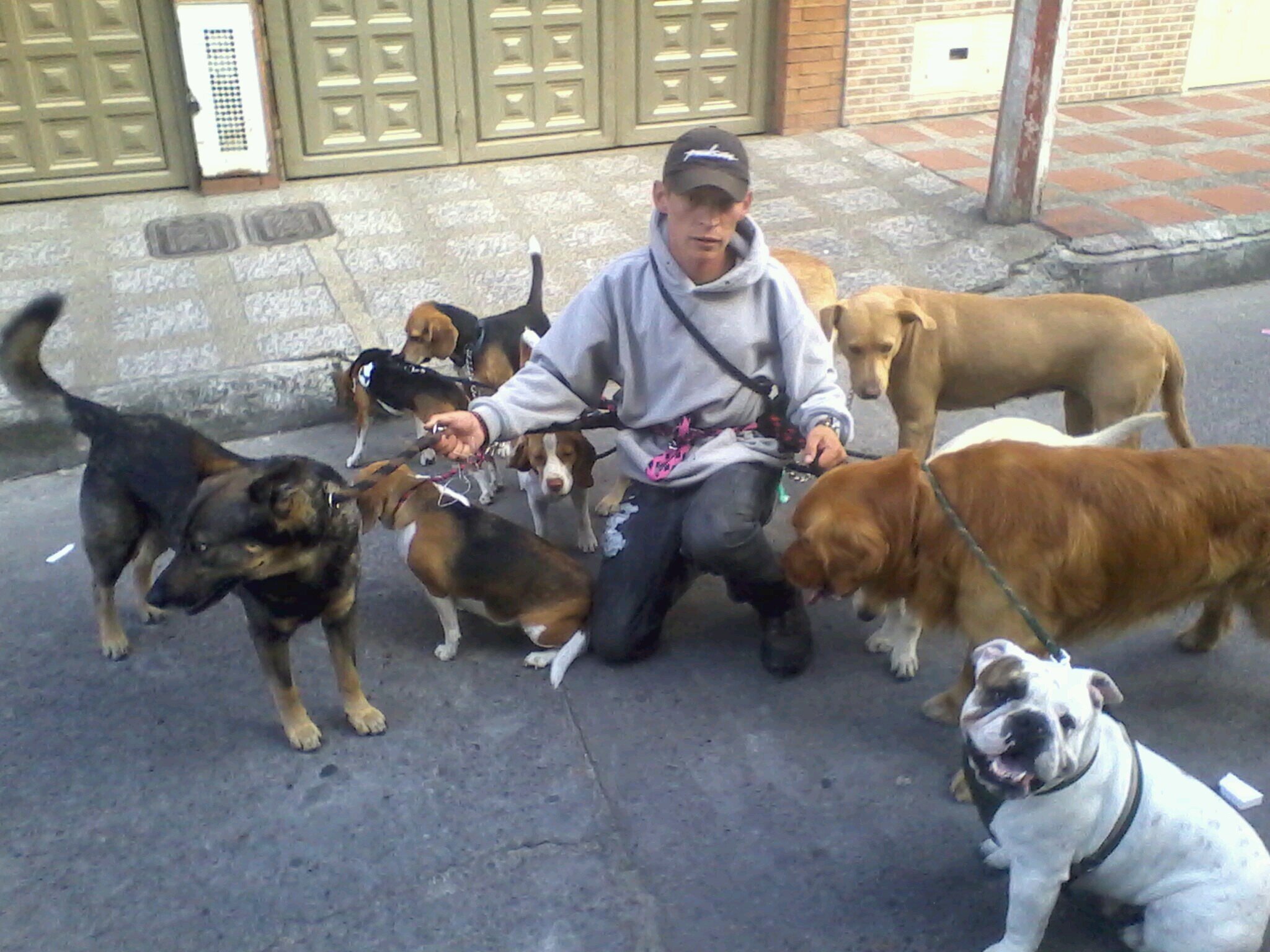 amante a los perros paseador y entrenador canino me fasina la musica y el trabajo con los companeros mas leales y fieles del reino animal EL PERRO