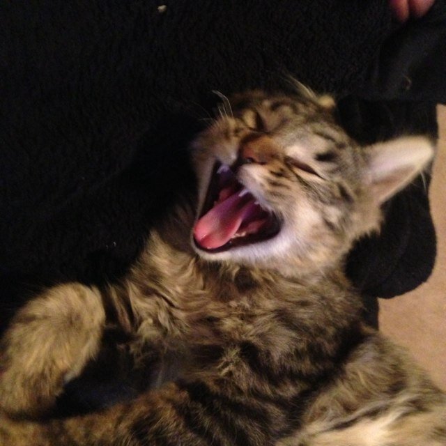 clind14's profile picture. 