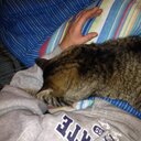 Paulette Hardy - @wifewithnolife - Twitter