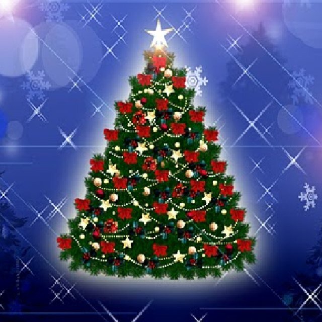 Just a big tree trying hard to please my city. Biggest Christmas tree in the state and proud!