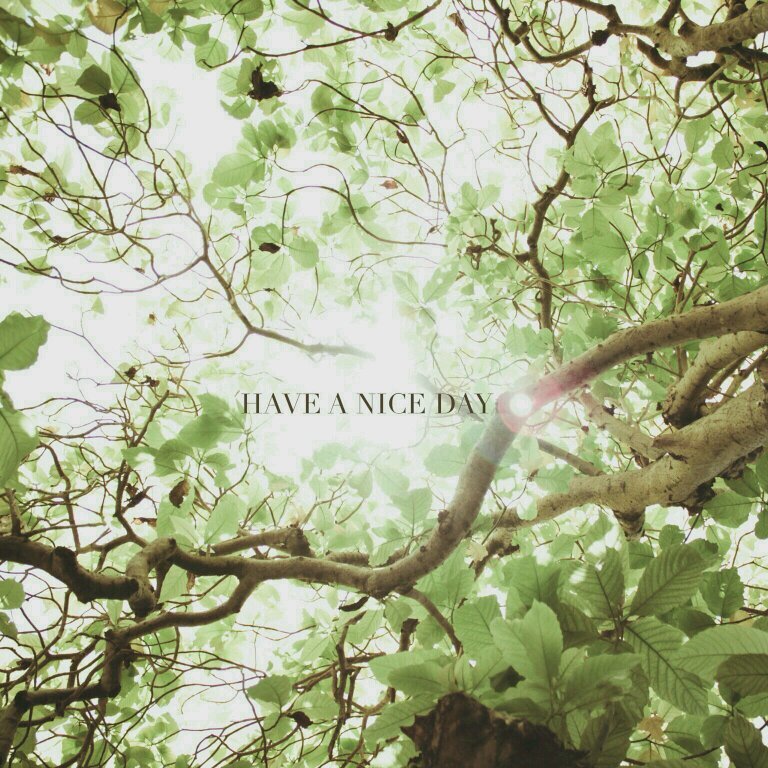 findjobss's profile picture. 