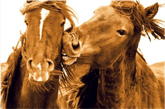 CacaceMichael's profile picture. 