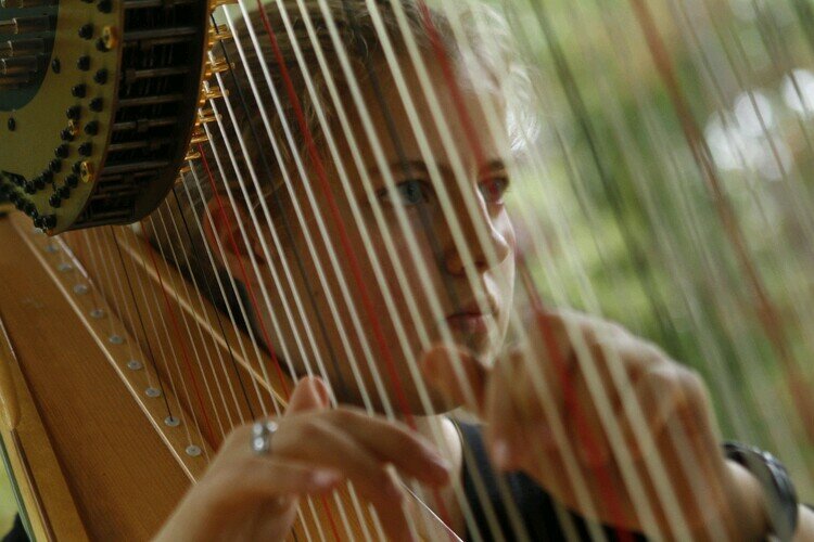 fsavoia47's profile picture. If a composer could say what he had to say in words he would not bother trying to say it in music.  ~Gustav Mahler